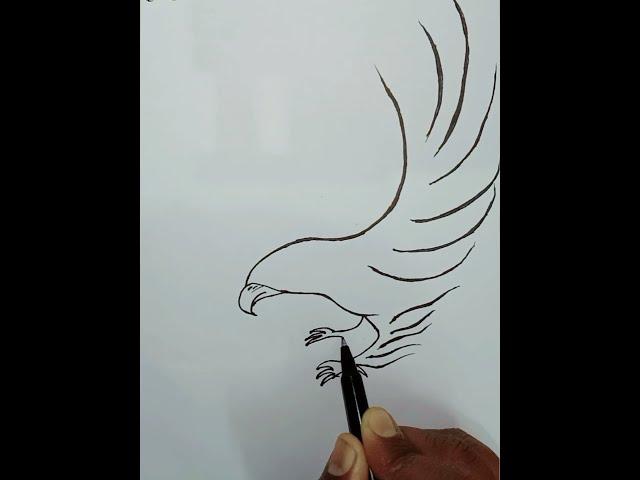 Flying eagle  Drawing || Bat chora karta face pe song #shorts