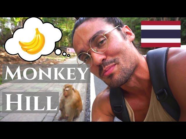 ATTACKED BY MONKEY at Monkey Hill | Phuket, Thailand