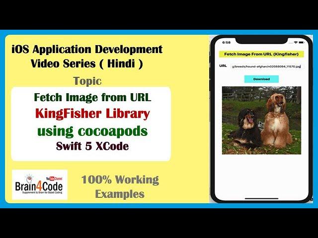 How to Download Image From URL Using Kingfisher Library in Swift | Hindi | Cocoapods in Swift Easy