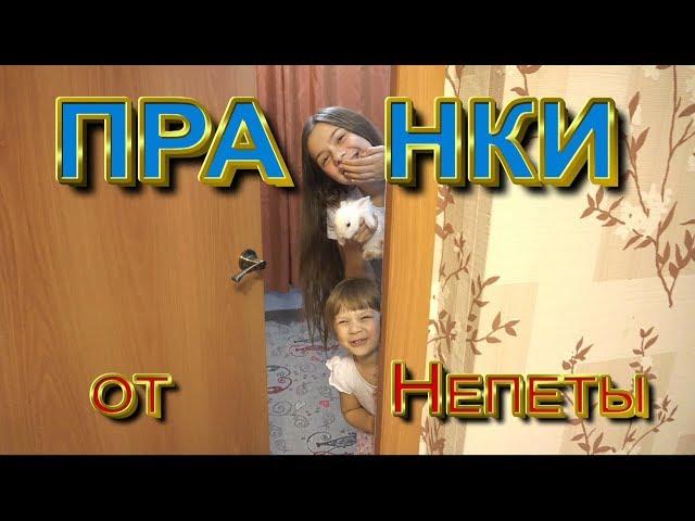 Пранки и розыгрыши над РОДИТЕЛЯМИ! От Непеты и кролика Ляли!