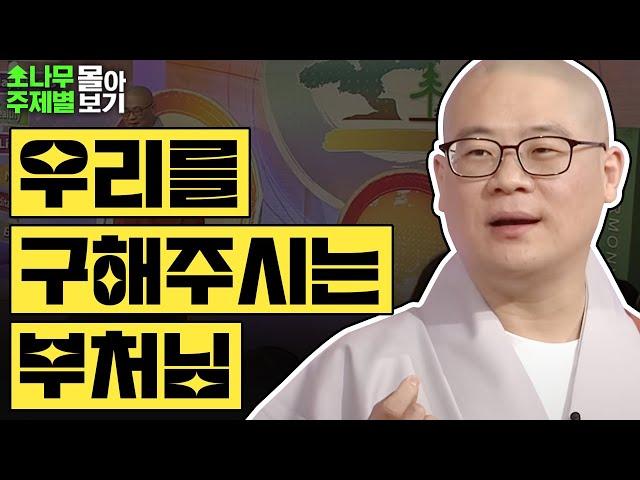 우리를 구해주시는 부처님🪷  [광우스님 소나무 주제별 몰아보기]