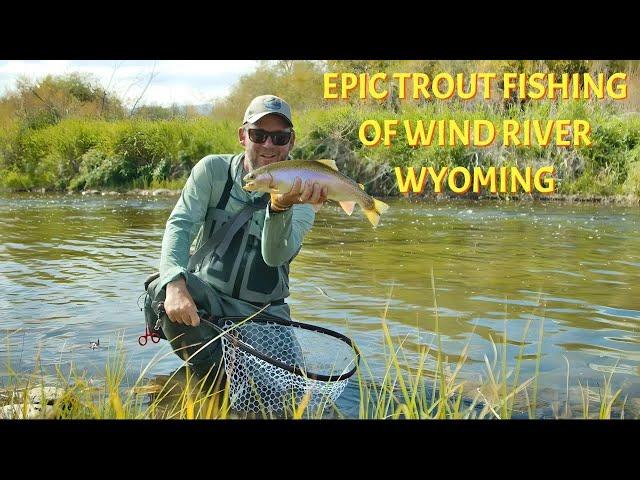 Epic Small Stream Trout Fishing | Wind River Country Wyoming