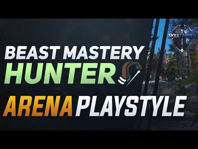 Beast Mastery Hunter BfA 3v3 Arena Guide - Best Comps, PvP Talents, Azerite Traits and Playstyle