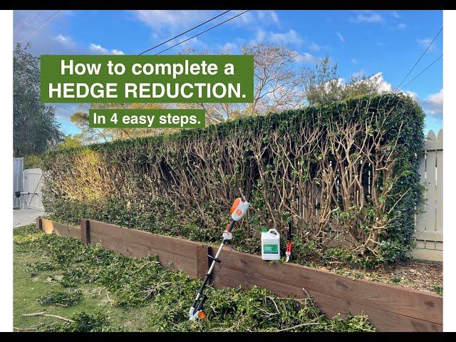 How to complete a HEDGE REDUCTION like a PRO. 4 easy steps.