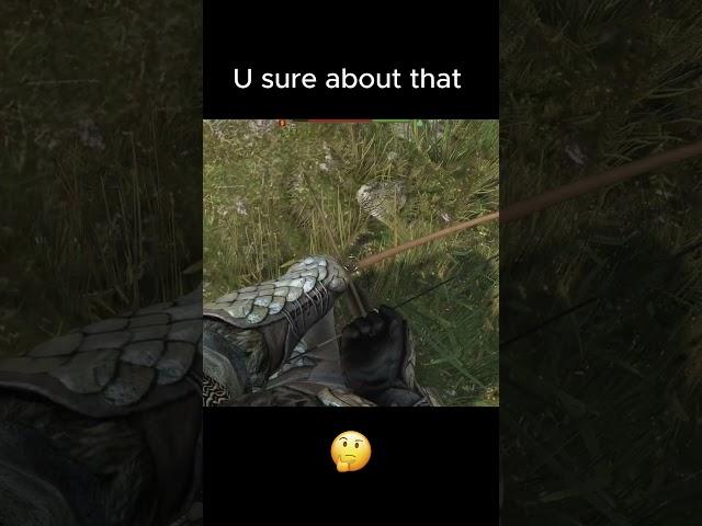 Battanian Fian Champions | Are you sure about that  #bannerlord #mountandblade
