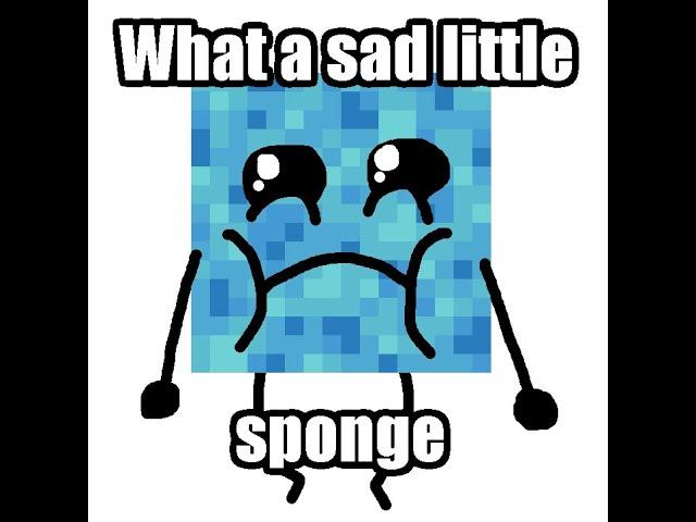 what a sad little sponge