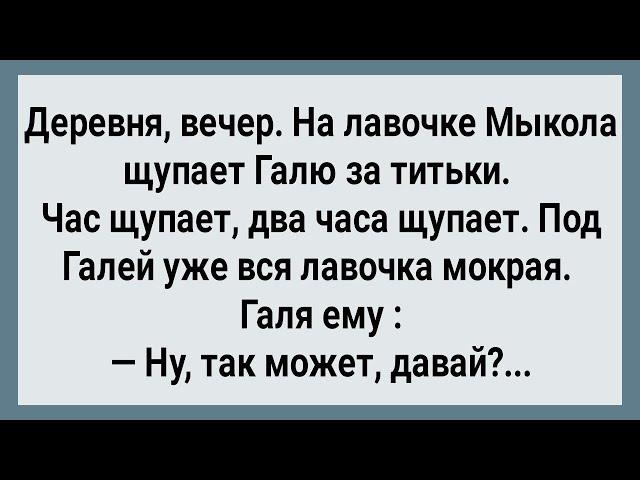 Как Мыкола На Лавочке Галю Щупал! Сборник Свежих Анекдотов! Юмор!