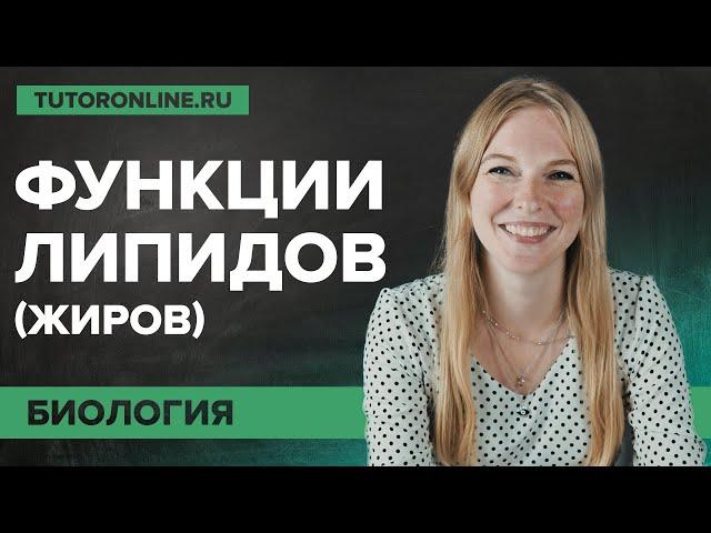 Самые важные функции липидов (жиров) | Биология | TutorOnline