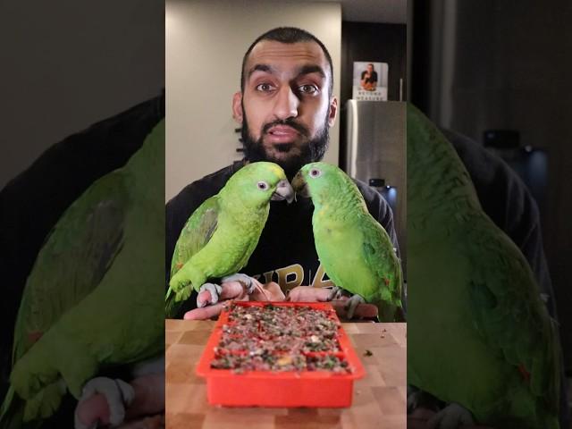 Let's Meal Prep for My PARROTS