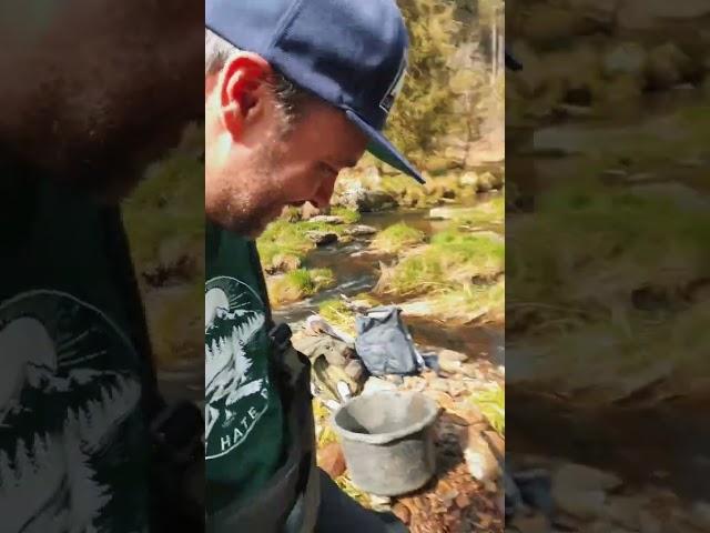 Gold prospecting in Germany