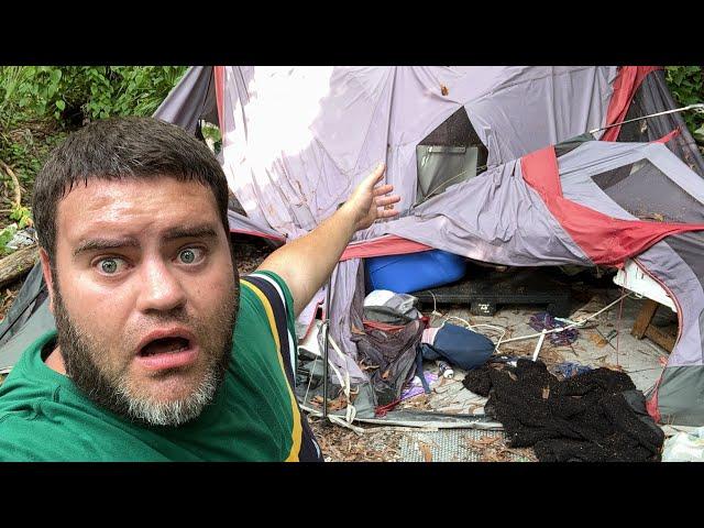 Homeless Fleeing Florida Ahead Of New Law! Abandoned Homeless Camps Reveal A Life Of Crime