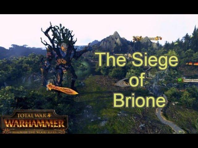 Total war: Warhammer Durthu wood elves (the siege of Brione)