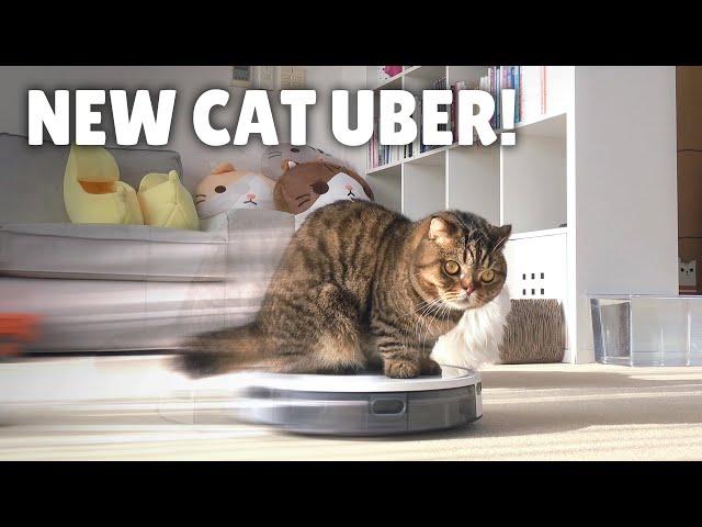 My Robot Vacuum Transformed into a Cat Uber! | Kittisaurus