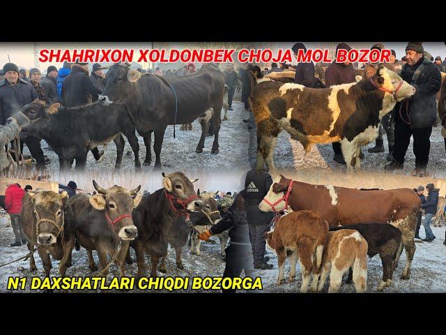 SHAXRIXON XOLDONBEK CHOJA MOL BOZORI 17.12.2024 Daxshatlari chiqdi Narxlari yana O'zgardi