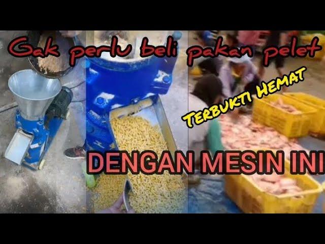 HARGA MESIN PEMBUAT PELET IKAN TERBUKTI HEMAT