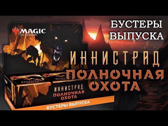 Распаковка дисплея | МТГ Иннистрад: Полночная Охота | Бустеры выпуска | MTG Innistrad: Midnight Hunt