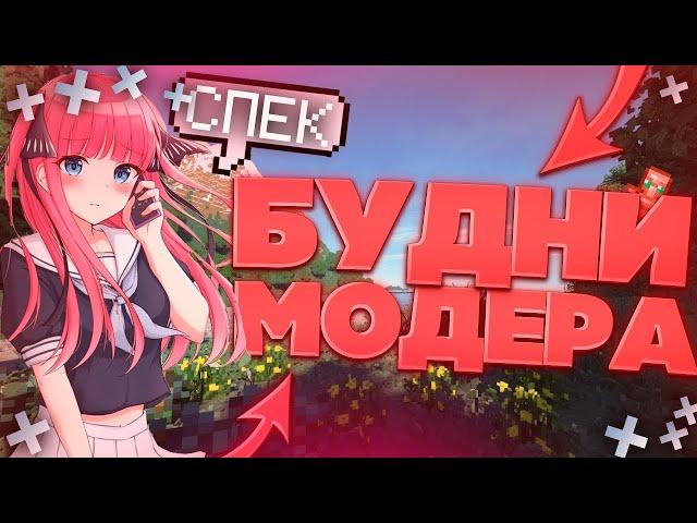 УСТРОИЛ ПЕРЕБАН ЧИТЕРОВ? | БУДНИ МОДЕРА | LoseWorld #2