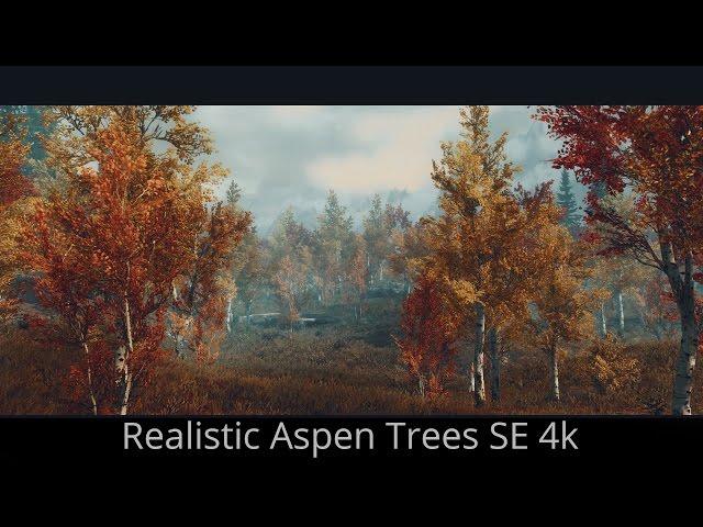 TO KILL THE SIMILARITY - Skyrim SE Mods - Realistic Aspen Trees 4k