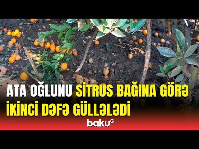 Meyvə bağına görə ata övladını yaraladı | Astarada dəhşətli hadisə