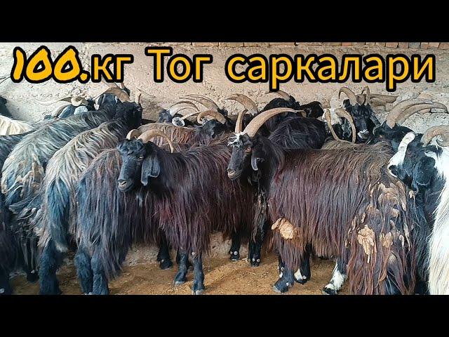 САРИОСИЁ САРКА ЭЧКИ БОЗОРИ ГАВЖУМ