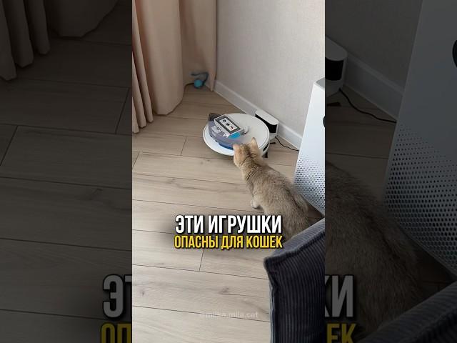 Никогда не оставляйте эти игрушки рядом с кошкой 