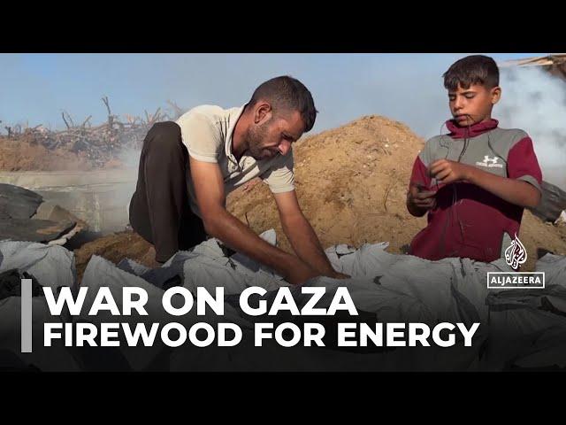 Life without power: Palestinians in Gaza turning to firewood for energy