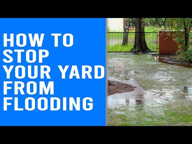 How to Stop Your Yard from Flooding - Effective Ways to Stop Yard Flooding