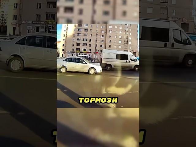 Она перепутала педали газа и тормоза ‍️