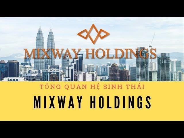 MIXWAY HOLDINGS, tổng quan về mixway holdings 2019