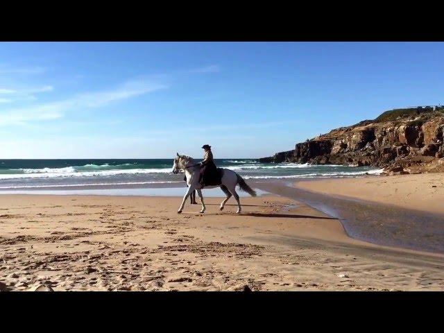 Portugal beach photo shooting 2016