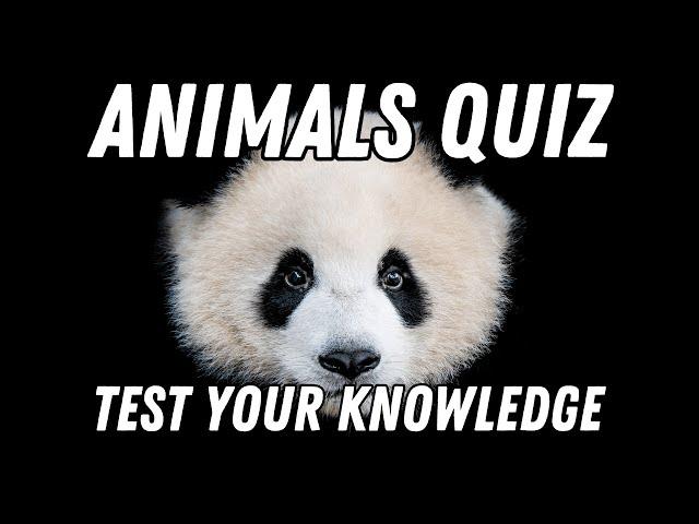 Animal World Quiz - How Many Can You Answer? 100 Questions