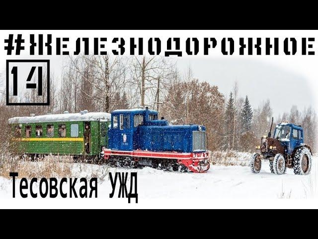 Катаемся по тесовсовской узкоколейке на тепловозе ТУ4, с вагонами ПВ40, #Железнодорожное - 14 серия