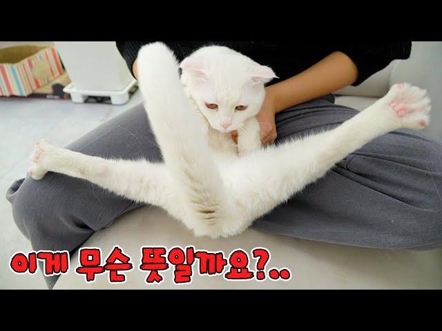 The Most Weird Pose In The World (ENG SUB)