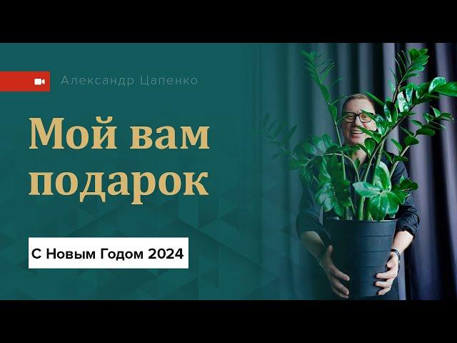 С Наступающим 2024! Мой подарок вам в видео.