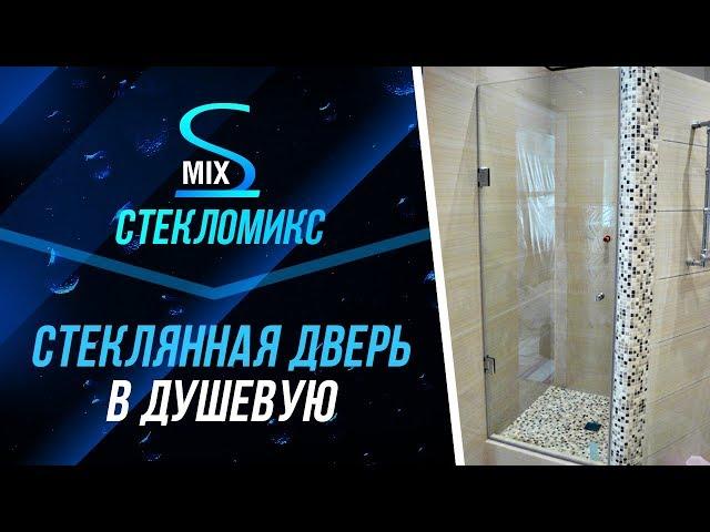 Стеклянная дверь в душевую Steklomix