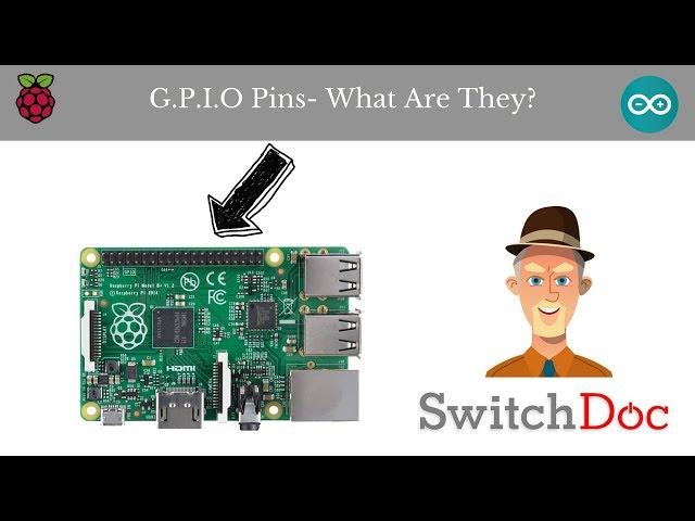 What Are GPIO Pins or General Purpose Input Output Pins?