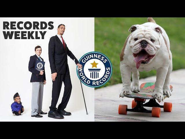 Tallest Meets Shortest and Skateboarding Bulldogs | Records Weekly - Guinness World Records