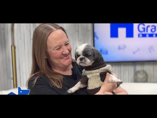 Full show: Meet the woman who saved the interstate dog