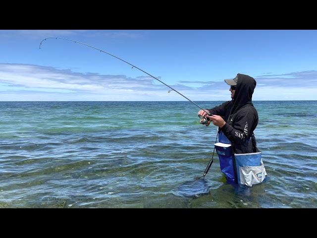 Land-based King George whiting fishing on Yorke Peninsula