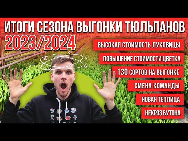 Итоги сезона выгонки тюльпанов 2023/2024. Что нас ждет в будущем?