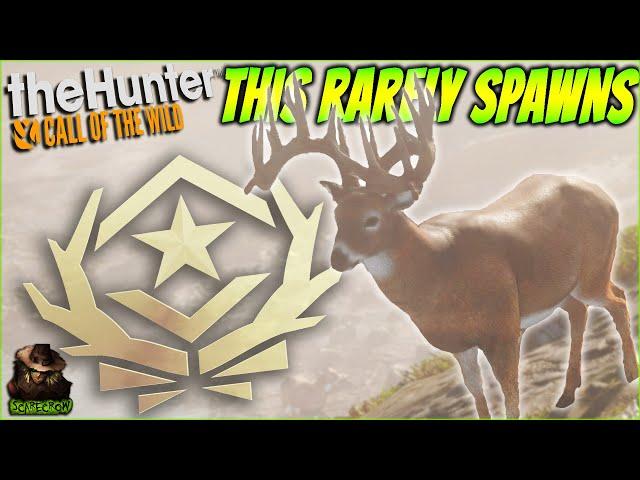 THIS Is The Rarest Great One Whitetail In Call of the wild...