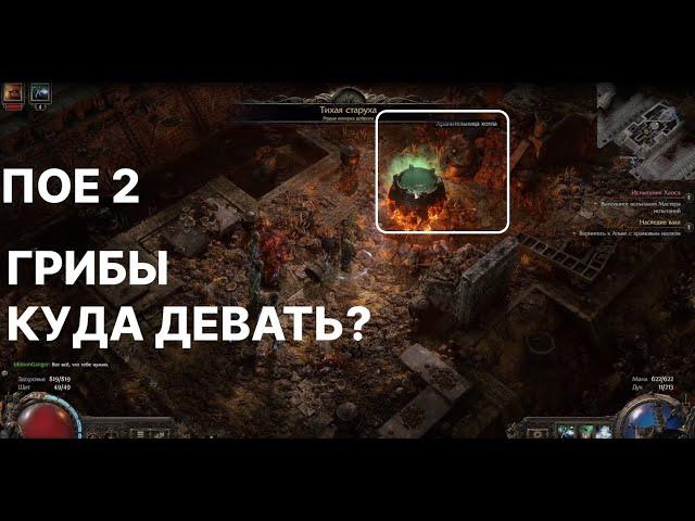 ГАЙД:  КВЕСТ С ГРИБАМИ (Оскверненная вершина) #POE2 #POE #pathofexile2