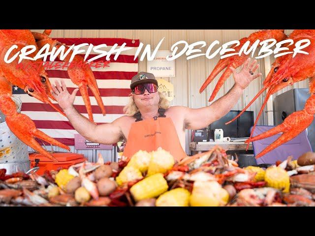 CRAWFISH IN DECEMBER?!