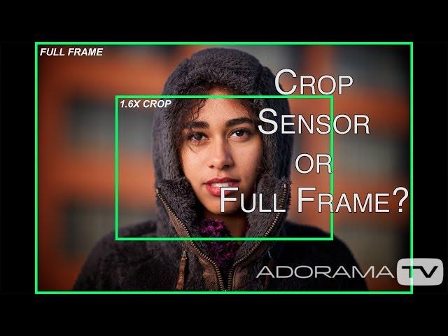 Cropped Sensors: Two Minute Tips with David Bergman