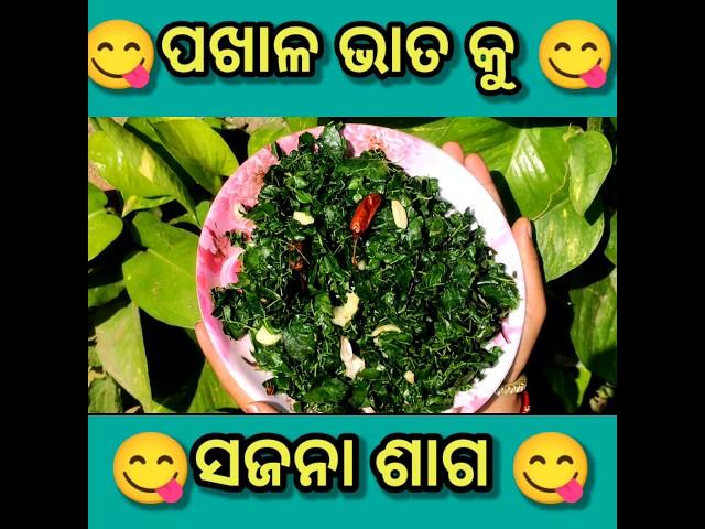 ସଜନା ଶାଗ ଭଜା | sajana saga bhaja #sujanasagabhaja#sagabhaja#fryrecipe  #food #shortviral #prrupali