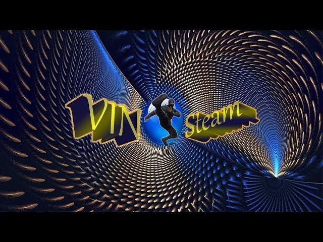 VIN Steam