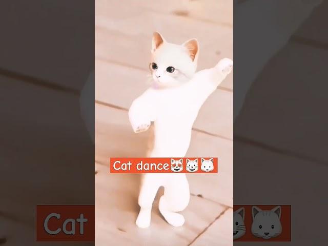 || laski kamar  #catdance #short #viralshorts  #trending #ytshorts @pahadibhulavinod