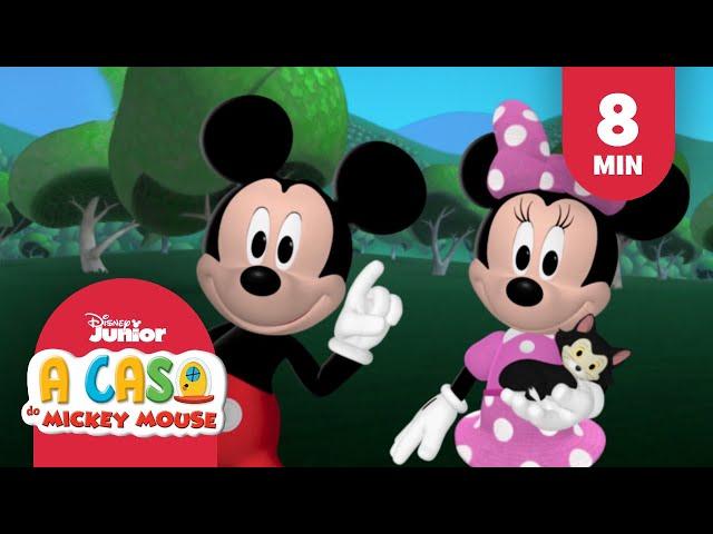 Celebrando os animais de estimação | A casa do Mickey