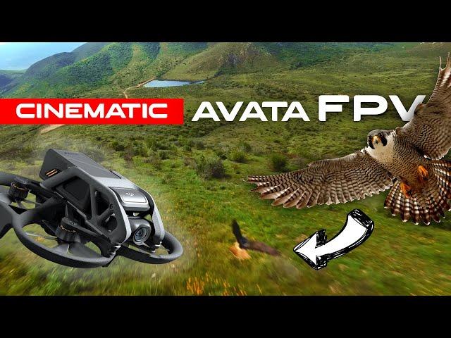 Cinematic DJI Avata FPV hill dive, surfing and falcon! 4K #cinematic #cinematicfpv #fpv #djiavata