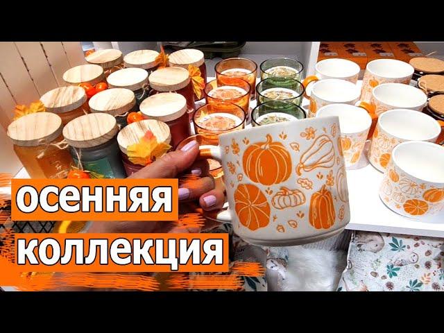 Магазин CИН.Яркая Осенняя Коллекция уже на полочках